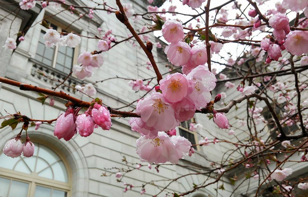 18121601_10212994009227762_7495576015200541590_o