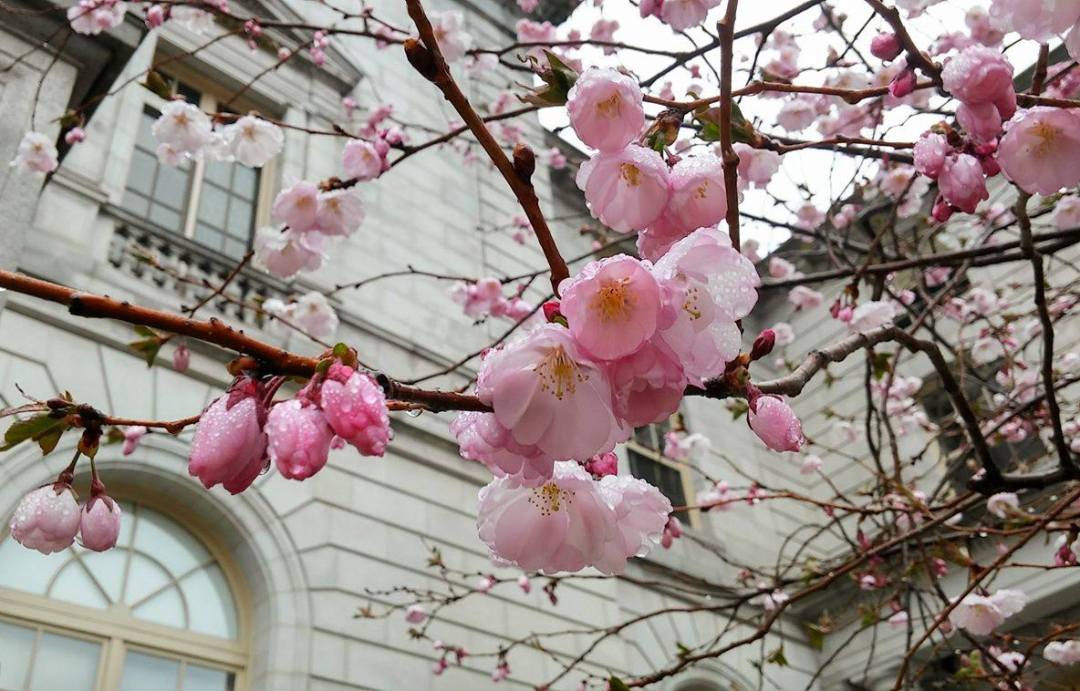 18121601_10212994009227762_7495576015200541590_o